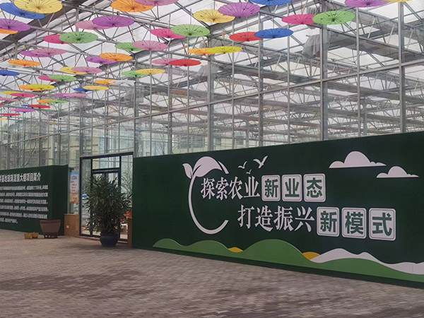 安徽新農業智能大棚建設