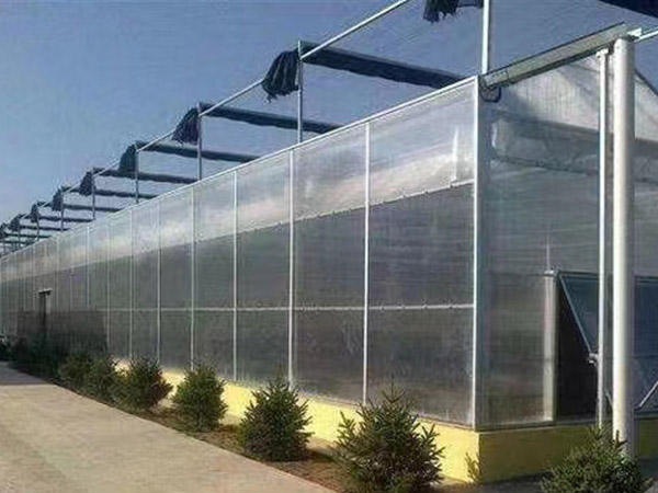 大慶陽光板溫室建造